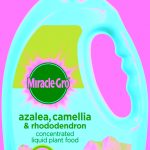 Miracle Gro 1L Azalea, Camellia & Rhododendron Liquid Plant Food