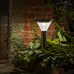 Smart Garden Solar Magnum Stainless Steel Stake Light (100 Lumens)