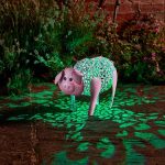 Smart Garden Solar Silhouette Delilah Pig