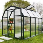 Rion Eco 6 x 8 Greenhouse