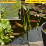 Bio Pond Clear ULTRA Treatment Kit for Small ponds (12,500L)