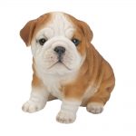 Vivid Arts Pet Pals Bulldog Puppy – Size F