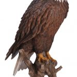 Vivid Arts Real Life American Bald Eagle – Size B