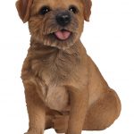 Vivid Arts Real Life Border Terrier – Size B