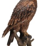 Vivid Arts Real Life Golden Eagle – Size B