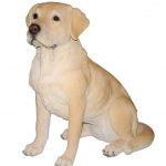 Vivid Arts Real Life Golden Labrador – Size A