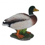 Vivid Arts Real Life Mallard Duck – Size A
