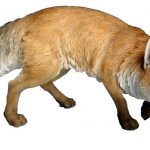 Vivid Arts Real Life Prowling Fox – Size A