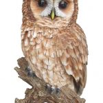 Vivid Arts Real Life Tawny Owl – Size B