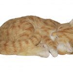 Vivid Arts Real Life Sleeping Cat Ginger – Size B