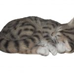Vivid Arts Real Life Sleeping Cat Tabby – Size B