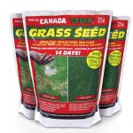 CANADA GREEN Grass Seed 500g