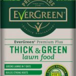 EverGreen Premium + Lawn Food – 400m2 (8kg)