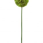Smart Garden Topiary Stake 18cm 2pk – Green