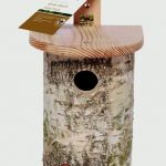 Chapelwood Nest Box – Silver Birch Log