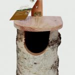 Chapelwood Robin Nest Box – Silver Birch Log