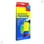 Greenhouse FlyCatcher sticky traps – pack x 7