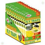Greenhouse Sticky Traps – 3 pack