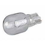 Low Voltage Outdoor Lighting Wedge Bulb 5w