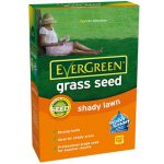 EverGreen Shady Lawn Grass Seed