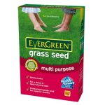 EverGreen Multi Purpose Grass Seed 480g
