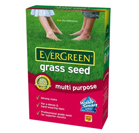 EverGreen Multi Purpose Grass Seed 480g | All Garden Plants : Plants