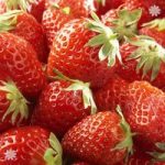 Strawberry ‘Albion’ runner – pack x 10