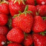 Pack of 6 potted Strawberry Sweetheart Plants
