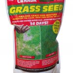 Canada Grass Grass Seed 1kg