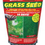 Canada Green Grass Seed 500g