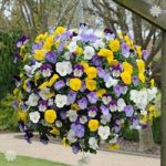 Trailing Hardy Pansy ‘Cool Wave’ – pack of 12 jumbo plugs