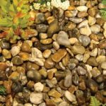Kelkay Oyster Pearl Pebbles – Bulk Bag
