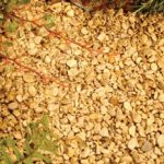 Kelkay Honey Stone Chippings – Bulk Bag