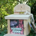 Squirrel Feeder