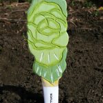 Veggie Stikks Lettuce – Vegetable Labelling