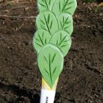 Veggie Stikks Spinach – Vegetable Labelling