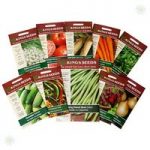 Vegetable Seed Bundle Deal