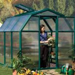 Rion Eco 6X6 Greenhouse