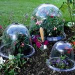 Baby Victorian Bell Cloche Pack of 3