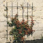 Square Trellis – Pack of 2 – Traditional Gloss Black