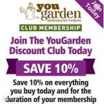 YG Discount Club Annual Membership
