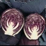 Cabbage ‘Ruby Ball’ F1 Hybrid (Autumn)