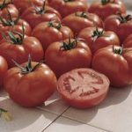 Tomato ‘Ferline’ F1 Hybrid