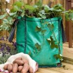 Vegetable Patio Bags