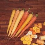 Carrot ‘Rainbow’ F1 Hybrid