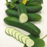 Cucumber ‘Swing’ F1 Hybrid