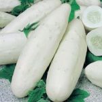 Cucumber ‘Long White’
