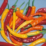 Chilli Pepper ‘Heatwave’ (Hot)