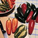 Chili Pepper ‘Rocky’ F1 Hybrid (Hot – Jalapeno)