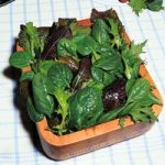 Salad Leaves ‘Baby Leaf’